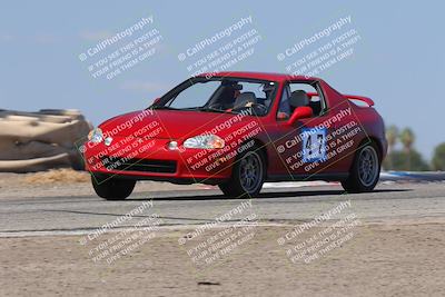 media/Oct-04-2025-OnGrid (Sat) [[44bd565ffa]]/Purple Group/Grapevine/